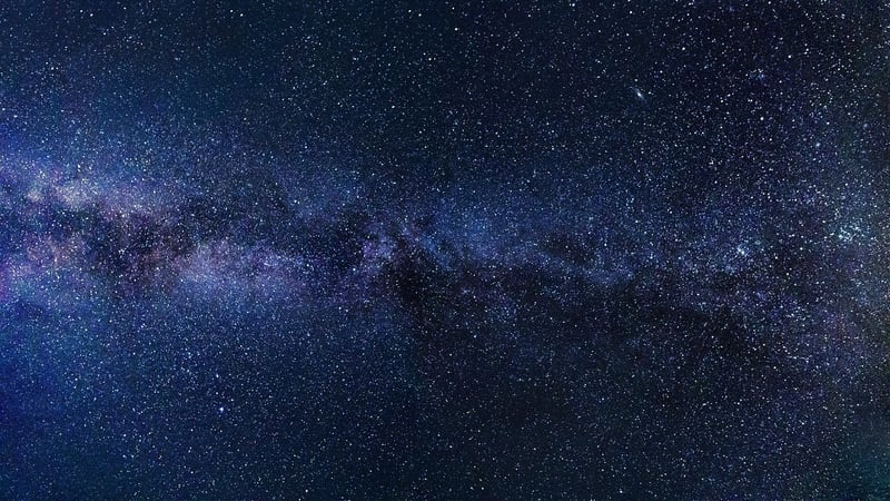 Starlit Meadows